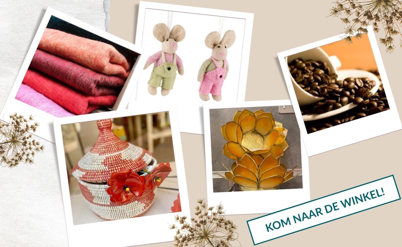 Maandaanbieding september